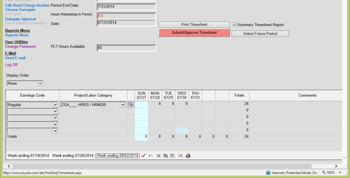 timesheet data entry screen